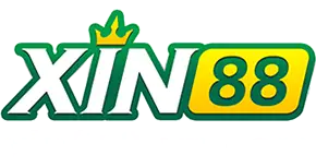 xin889-logo